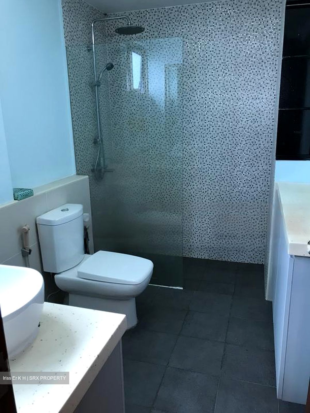 Euphony Gardens (D27), Condominium #481731381